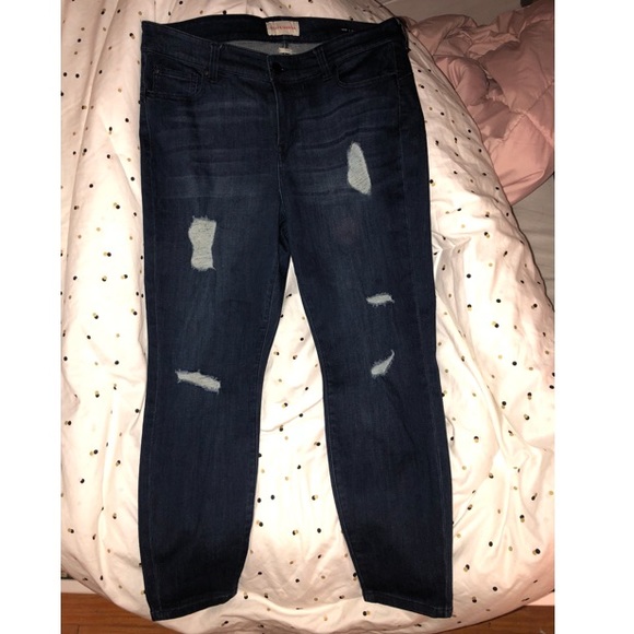 molly and isadora plus size jeans